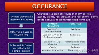 LESSON Cyanidin  Part 1 [upl. by Damara]