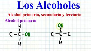 CLASIFICACIÓN DE LOS ALCOHOLES PRIMARIOS SECUNDARIO Y TERCIARIO [upl. by Yrogiarc385]