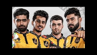 Peshawar Zalmi New Anthem Song 2024  Peshawer Zalmi New Song For Psl 9 [upl. by Ahtekahs57]