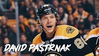 What gear does David Pastrnak use [upl. by Nevsa251]