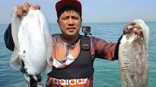 EP264 Hunting Giant CUTTLE FISH Nakahuli ng Stingray Catch amp realease [upl. by Eidua58]