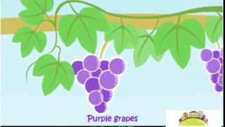 Chinese Childrens Song Fruit Song 水果歌 [upl. by Ahcsap]