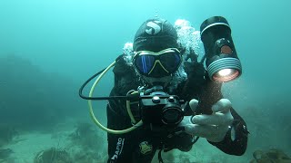 Scuba Diving amp Underwater Imaging Review SeaLife ReefMaster RM4K Pro 2000 Set [upl. by Sinnel]