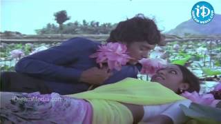 Minneti Sooreedu Song  Seethakoka Chilaka Movie Songs  Karthik Muthuraman  Aruna Mucherla [upl. by Mokas]