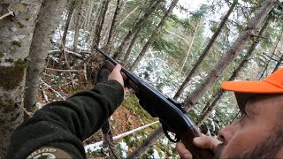 StillHunting Deer In Northern Maine Week 1 [upl. by Redna]