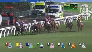 26052024 香港賽馬 Shatin Horse Racing 沙田A欄日賽心水推介 又係用巴度玩完一場轉人 呢條定律真係好易捉 [upl. by Uv]