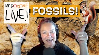 Fossil and Deathplate MICROZONE Friday Night LIVE [upl. by Ailet]