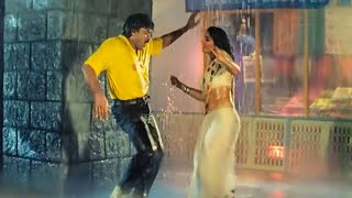 Kitukulu Thelisina Video Song  Gharana Mogudu Movie  Chiranjeevi Vani Viswanath  VolgaMusicBox [upl. by Nehemiah]