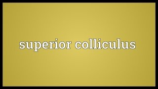 Superior colliculus Meaning [upl. by Jamnes]