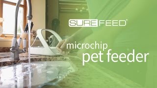 Cleaning your SureFeed Microchip Pet Feeder [upl. by Ednargel610]