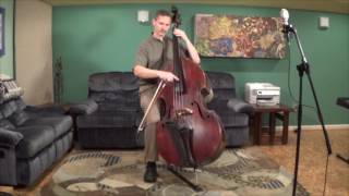 Double Bass Lesson  Holding The Bow While Playing Pizzicato [upl. by Aeslek]