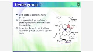 Proteins  Globular proteins  Campbell chapter 4 [upl. by Pleasant]