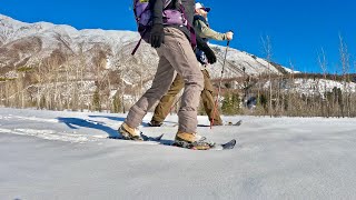 Great Northern Flats a snowshoe on the North Fork of the Flathead across the river from Glacier NP [upl. by Annaj]