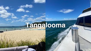 Tangalooma Island 🏝️Morten Bay vlog [upl. by Maze]