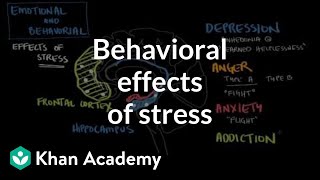 Behavioral effects of stress  Processing the Environment  MCAT  Khan Academy [upl. by Aluin]