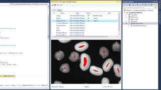 Debugging with HALCON Variable Inspect in Visual Studio [upl. by Aniahs429]