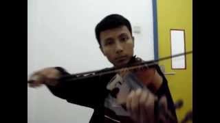 The Corrs  The Minstrel Boy Violin Cover [upl. by Ynatsyd]