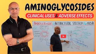 Aminoglycosides  Clinical Uses and Adverse effects 💊 [upl. by Elberfeld]