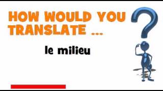 FRENCH TRANSLATION QUIZ  le milieu [upl. by Nakhsa769]