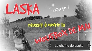 Laska ouvre la Woufbox de Mai UNBOXING 74 Collector [upl. by Oluap]