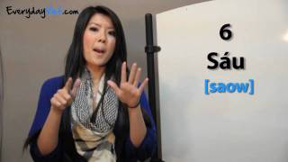 Learn Vietnamese Lesson 4 How To Count In Vietnamese Numbers 110 [upl. by Deena]