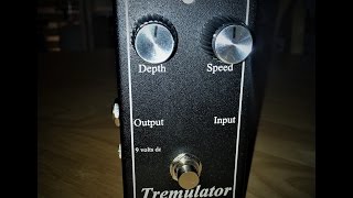 Demeter Tremulator  Demo And Review [upl. by Ecnerolf259]