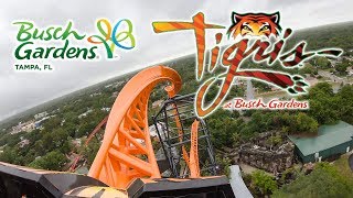 2019 Opening Day Tigris Launch Roller Coaster On Ride Front Row Ultra HD 4k POV Busch Gardens Tampa [upl. by Yknip]