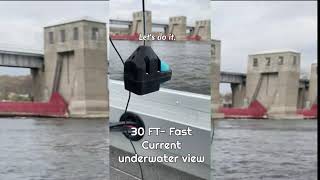 Watch Fish 30ft Below A Giant MIssissippi Dam [upl. by Amaleta739]