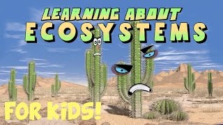 Learning About Ecosystems [upl. by Mat988]