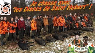 Deux saisons avec les quotDianes de Saint Hubertquot chasse en battue avec les chasseresses [upl. by Brozak]