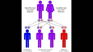 Friedreichs Ataxia  Causes Symptoms amp Mnemonics [upl. by Eddana]