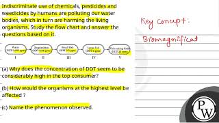 Indiscriminate use of chemicals pesticides and weedicides by humans are polluting our water bod [upl. by Effy501]