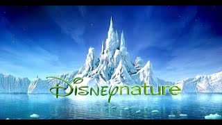 DisneyNature  10 Years Of Disney Nature official video [upl. by Aslin]