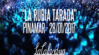 DIVIDIDOS  La Rubia Tarada Pinamar 28012017 [upl. by Cressler920]