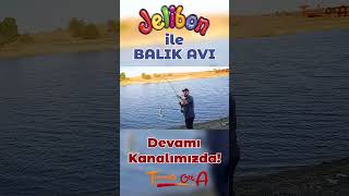 Jelibonla 52 CM Balık Yakaladım fishing balık canlıyem balıkavı fish deniz tekirdağ [upl. by Eidua]