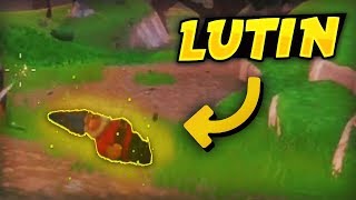 JAI DÉCOUVERT UN LUTIN LÉGENDAIRE HYPER RARE Fortnite Battle Royale [upl. by Clareta]