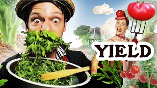 Yield  Formidable Vegetable  Grow Your Own Food Permaculture Music Video [upl. by Letsirhc787]