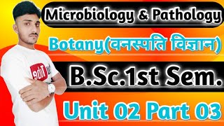 bsc 1st year botany chapter 1bsc 1st year botanybsc 1st semester botany notesbsc1st year bacteria [upl. by Suiluj]