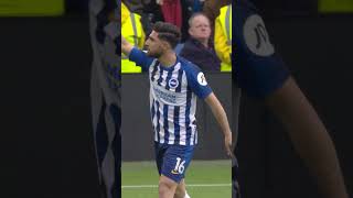 Alireza Jahanbakhshs EPL Goals [upl. by Ratna445]