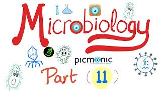 Microbiology with Picmonic  Shigella EHEC HUS Yersinia enterocolitica amp pestis  Part 11 [upl. by Notle307]