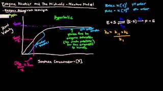 Enzymes Part 2 of 5  Enzyme Kinetics and The Michaelis Menten Model [upl. by Naaman]