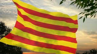 Flag and anthem of Catalonia [upl. by Tedder136]