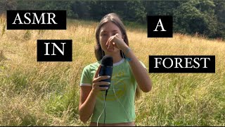 ASMR in a forest   tree tapping scratching leaf crunching [upl. by Rodge]