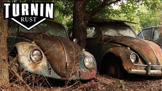 HUGE Abandoned Volkswagen Collection Found after 40 YEARS  1960 VW Beetle  Turnin Rust [upl. by Murdock]