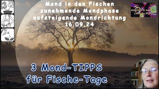 3 MondTIPPs für Fische Tage [upl. by Rj945]