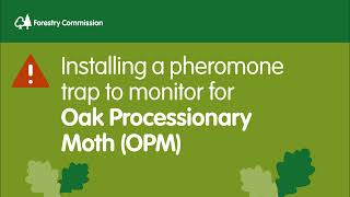 Installing a pheromone trap to monitor for Oak Processionary Moth OPM [upl. by Theta]