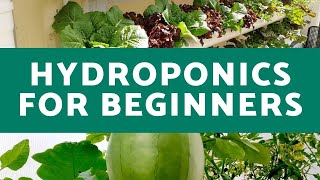 Hydroponics for Beginners  Everything You Need to Know for Successful Hydroponic Growth [upl. by Gareri]