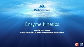 Enzyme Kinetics [upl. by Dniren378]