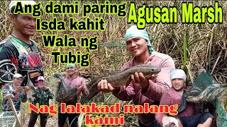 AGUSAN MARSH Ang dami paring isda kahit hibas na salamat sa blessing agusan Marsh [upl. by Delahk]