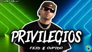 PRIVILEGIOS  FEID  AUDIO TEMA VIRAL [upl. by Gaelan300]